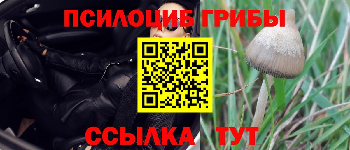 Галлюциногенные грибы GOLDEN TEACHER  Вход с VPN  Нурлат 